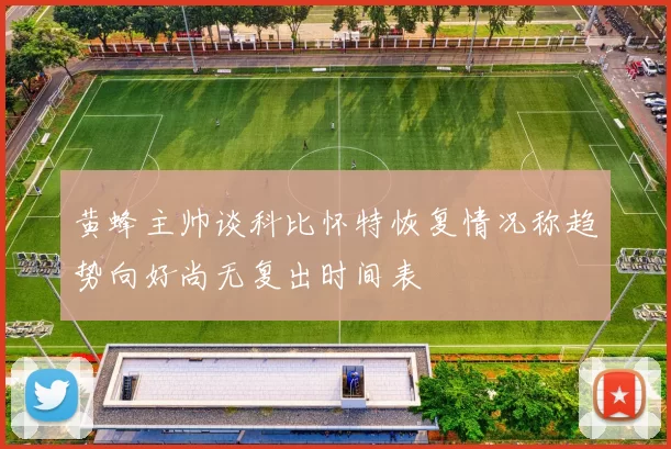 黄蜂主帅谈科比怀特恢复情况称趋势向好尚无复出时间表